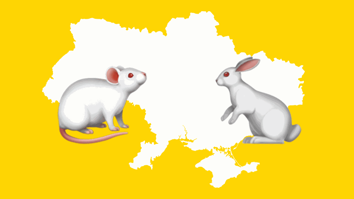 В Україні планують заборонити тестування на тваринах В Україні планують заборонити тестування на тваринах