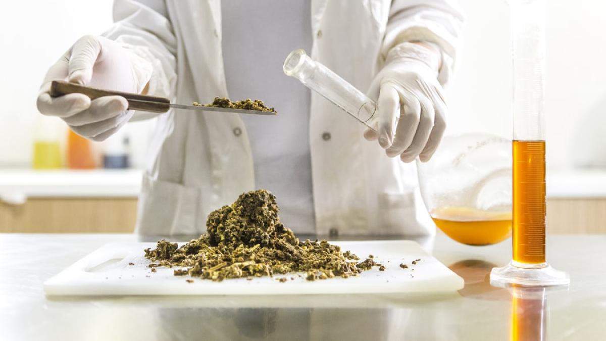 Косметика без использования химических продуктов Косметика без использования химических продуктов